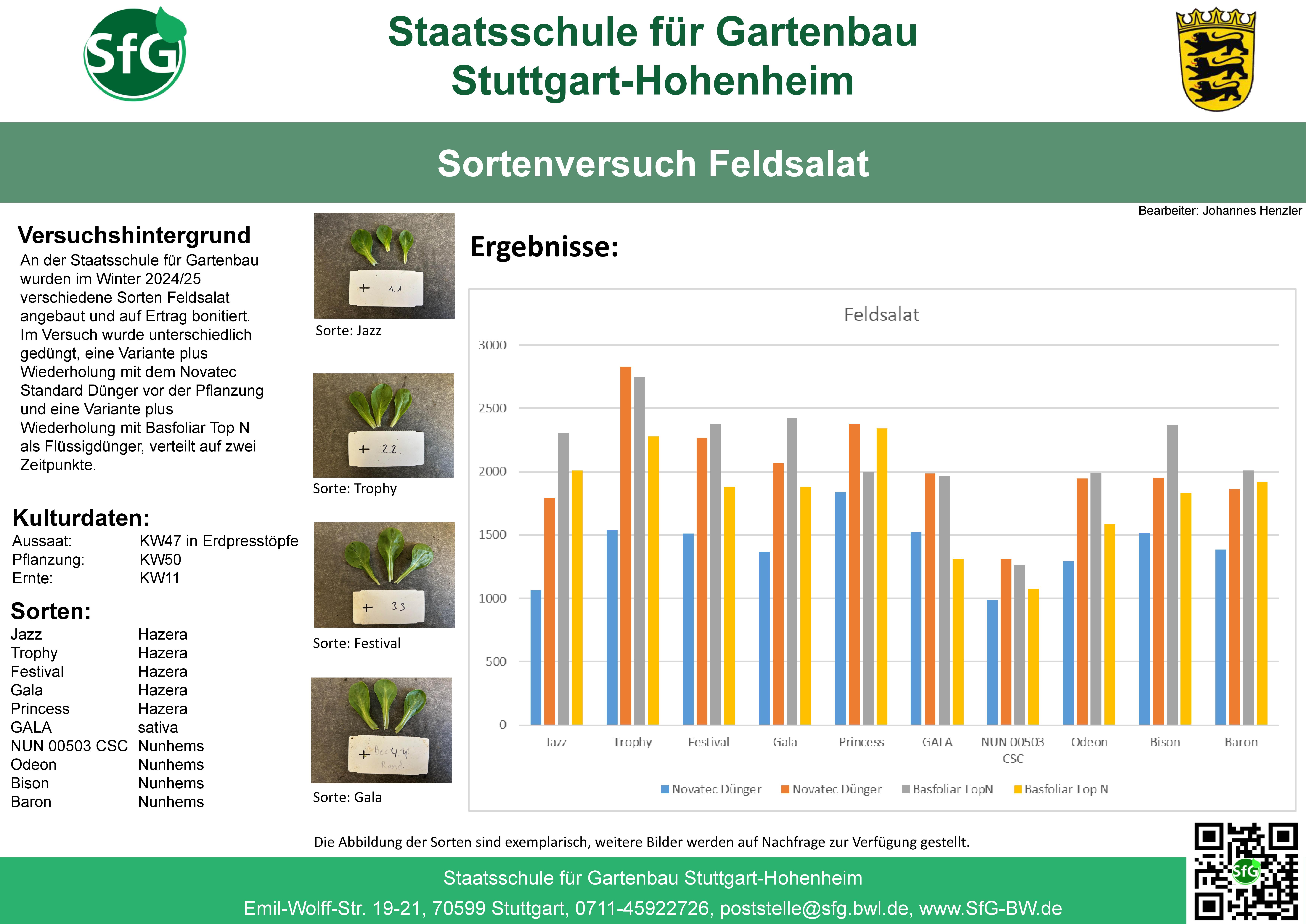 Poster Feldsalat.jpg