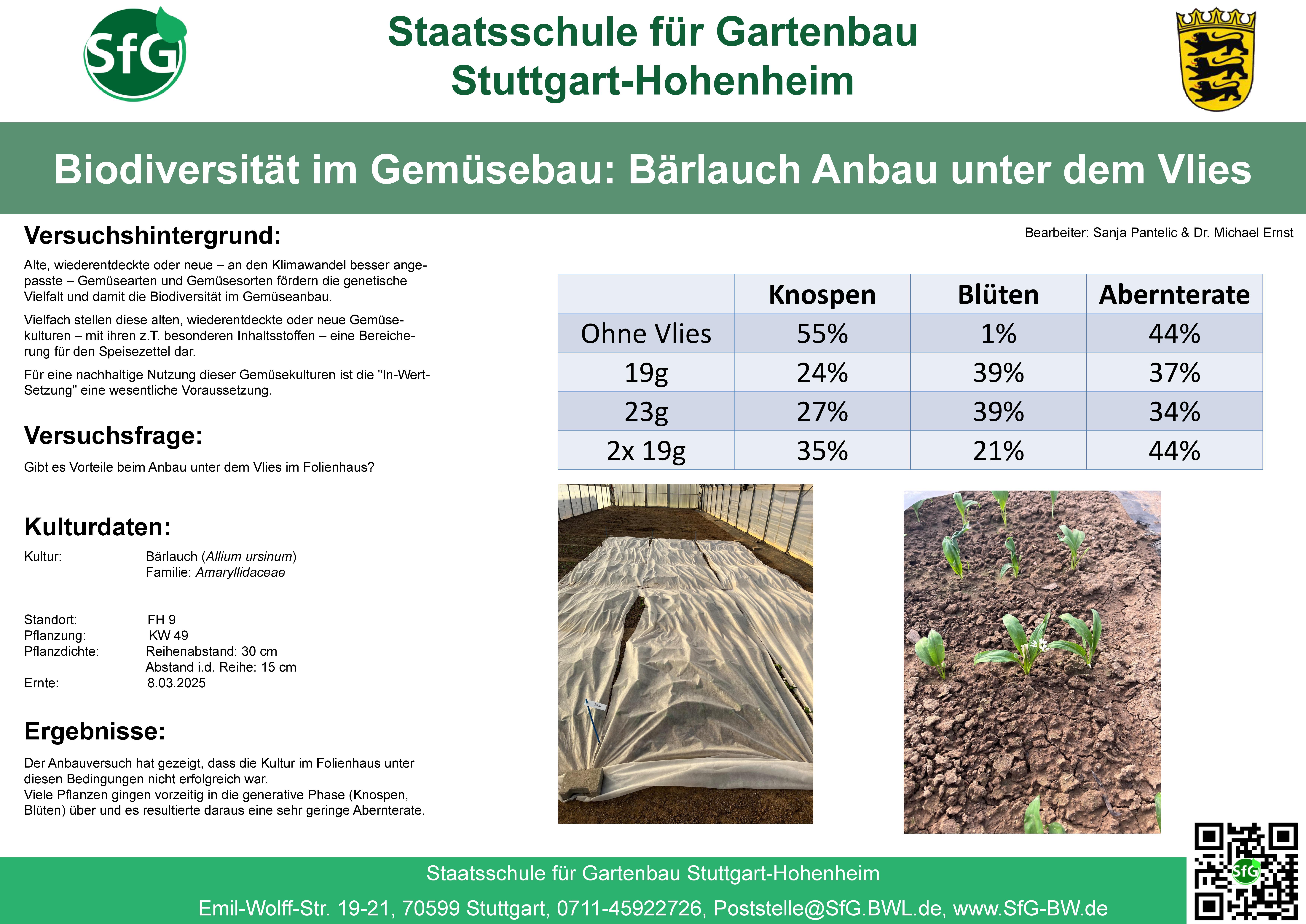 Biodiversität - Bärlauch.jpg