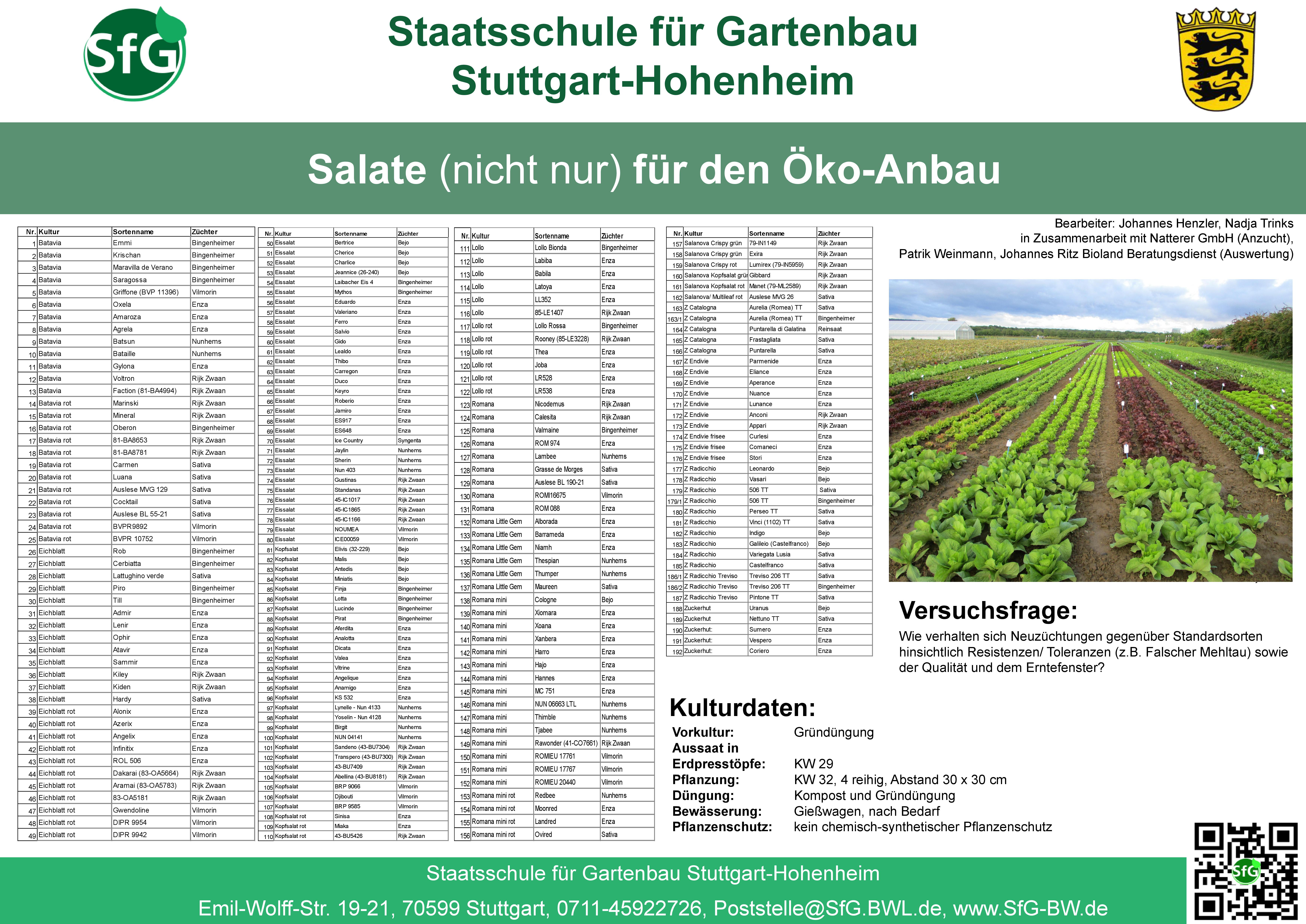 Poster Ökosalat .jpg