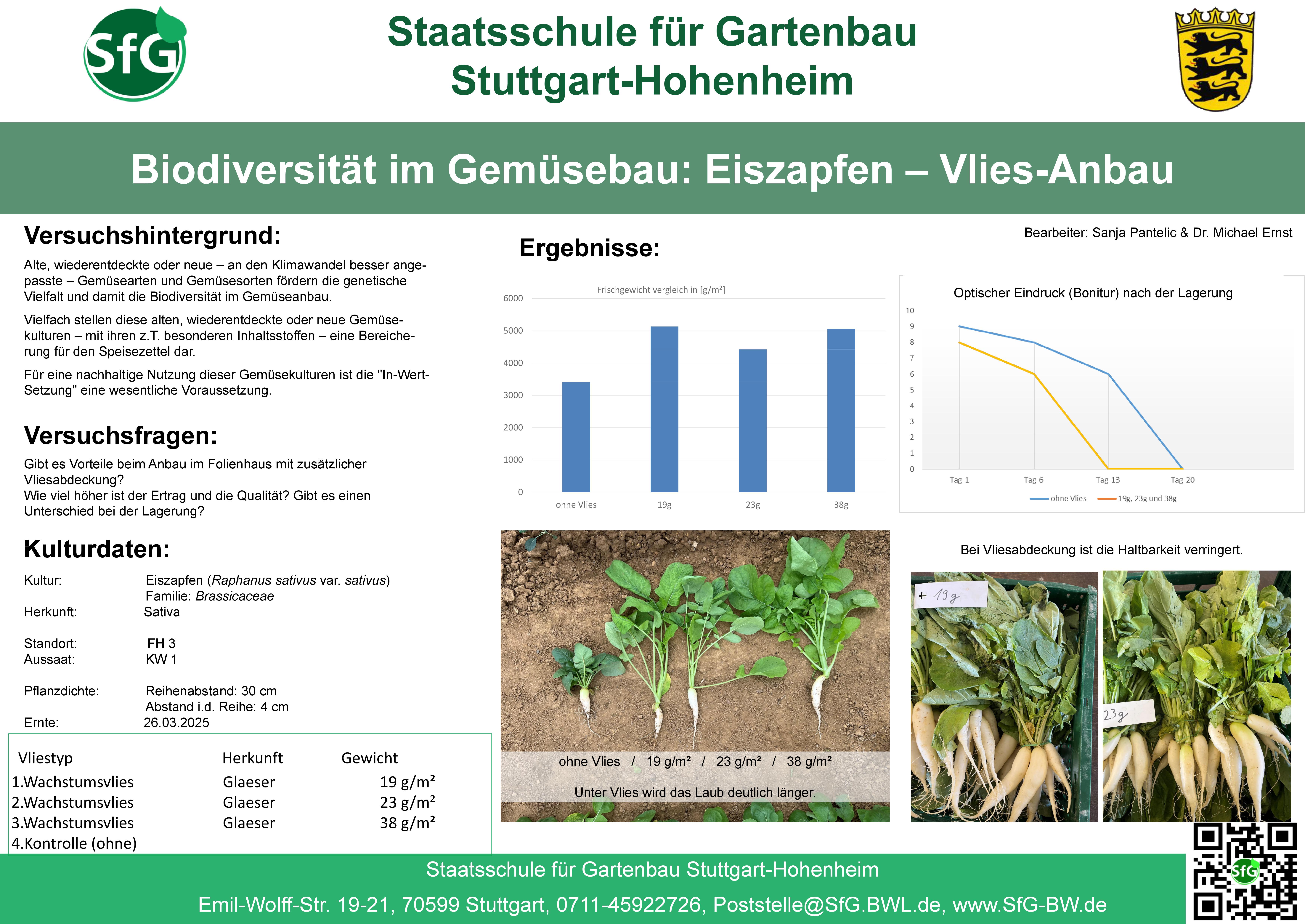 Biodiversität - Eiszapfen.jpg