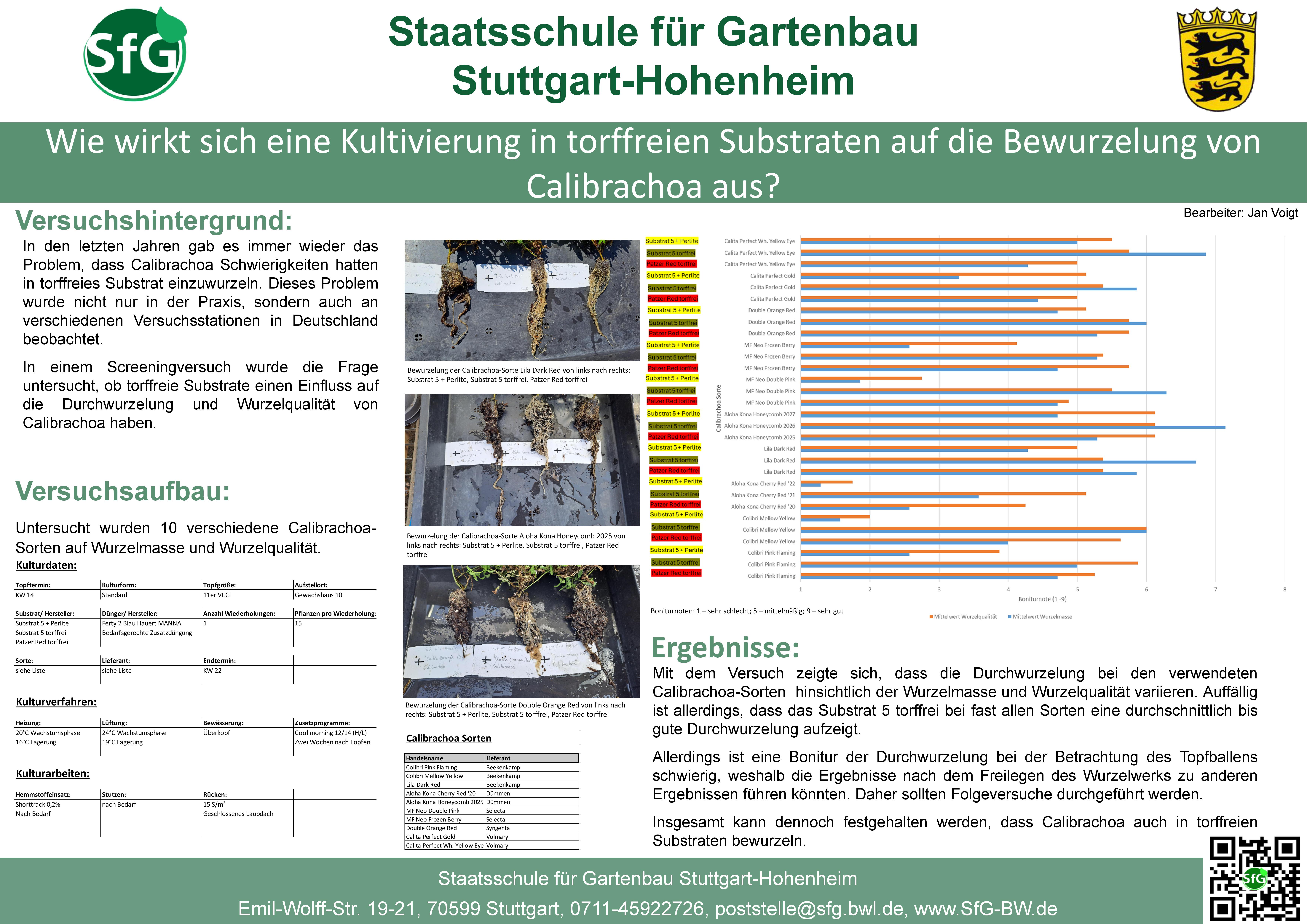 Bewurzelung Calibrachoa Torffrei.jpg