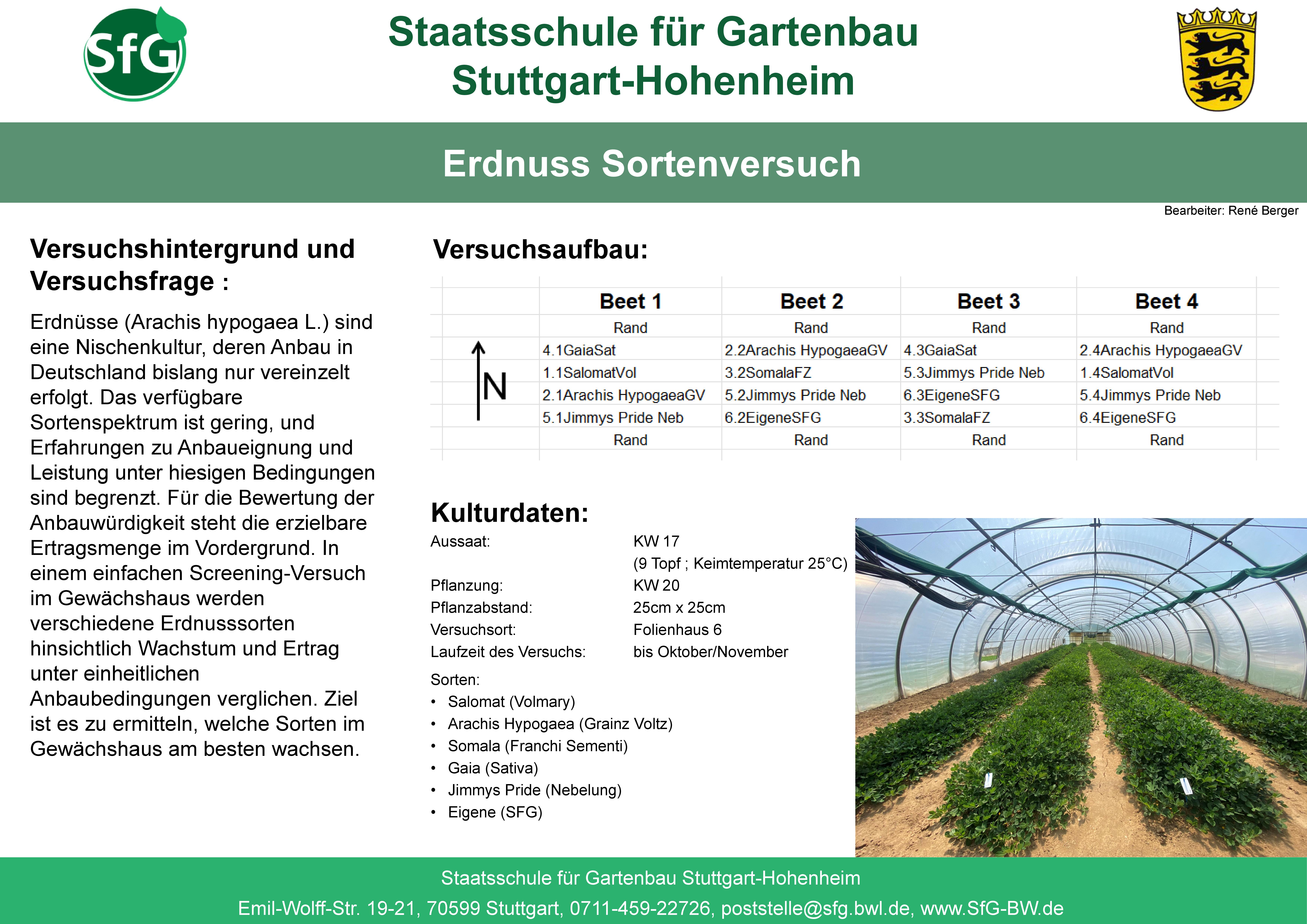 poster_erdnuss.jpg