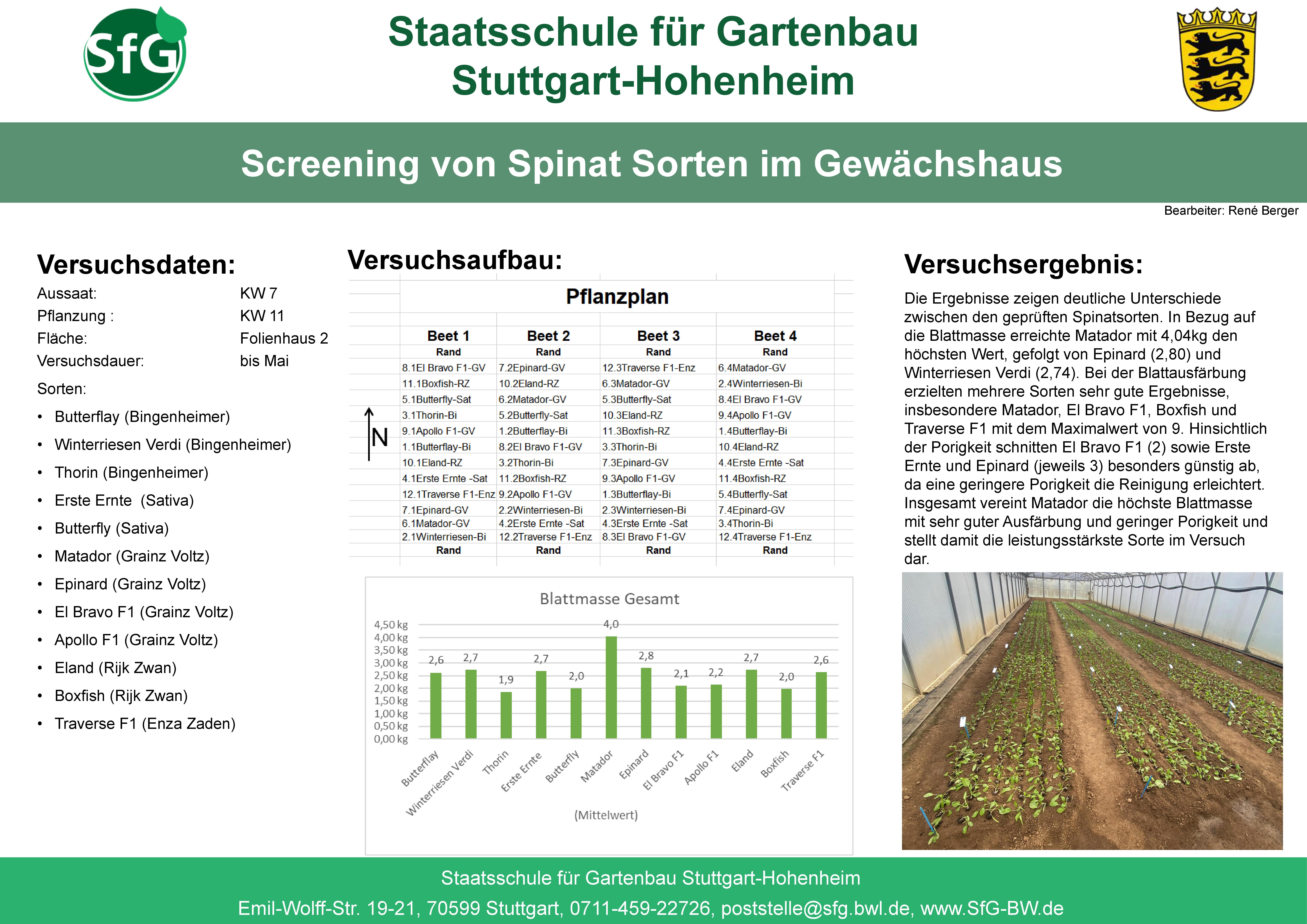 poster_spinat.jpg