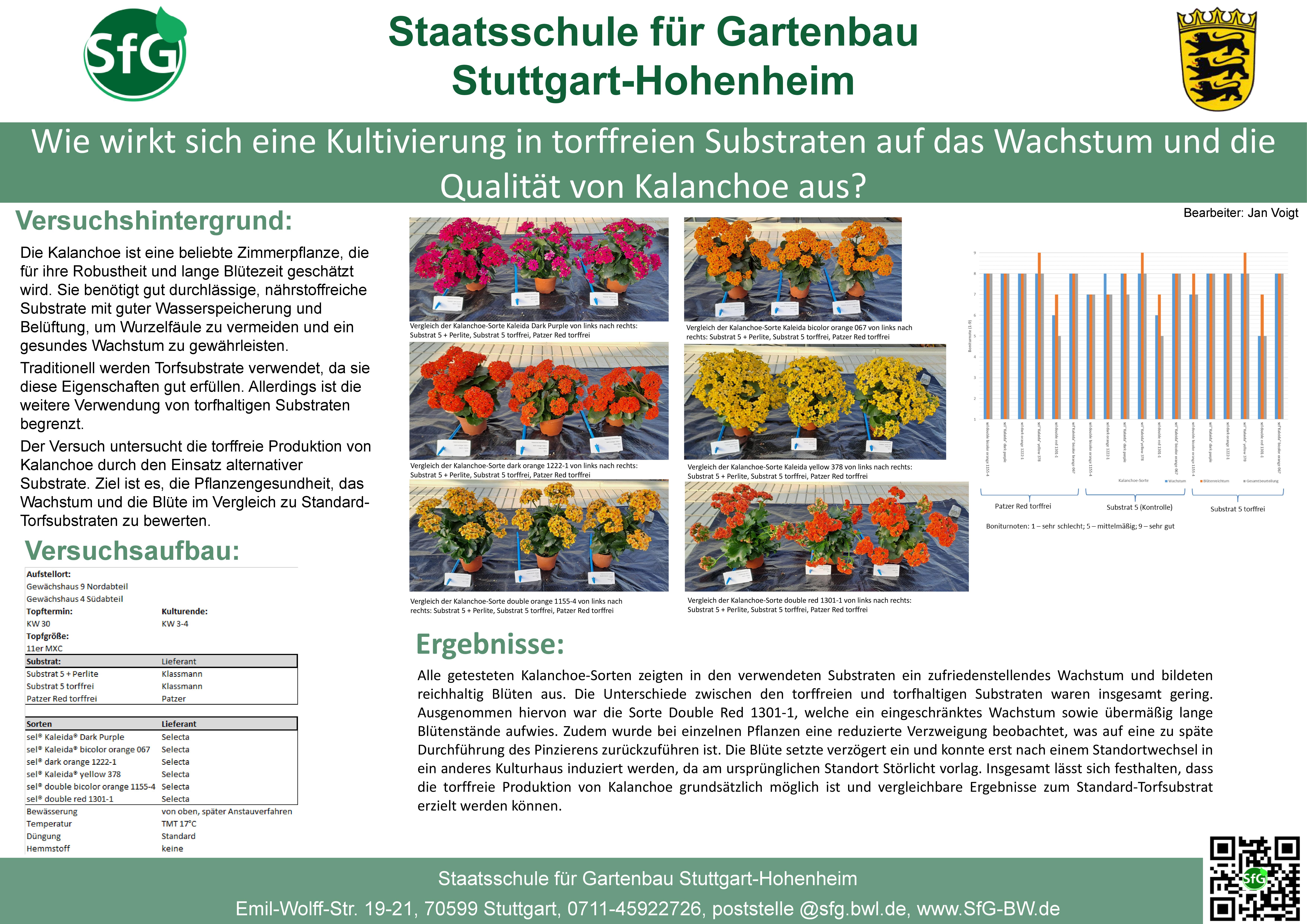 Substratversuch Kalanchoe.jpg