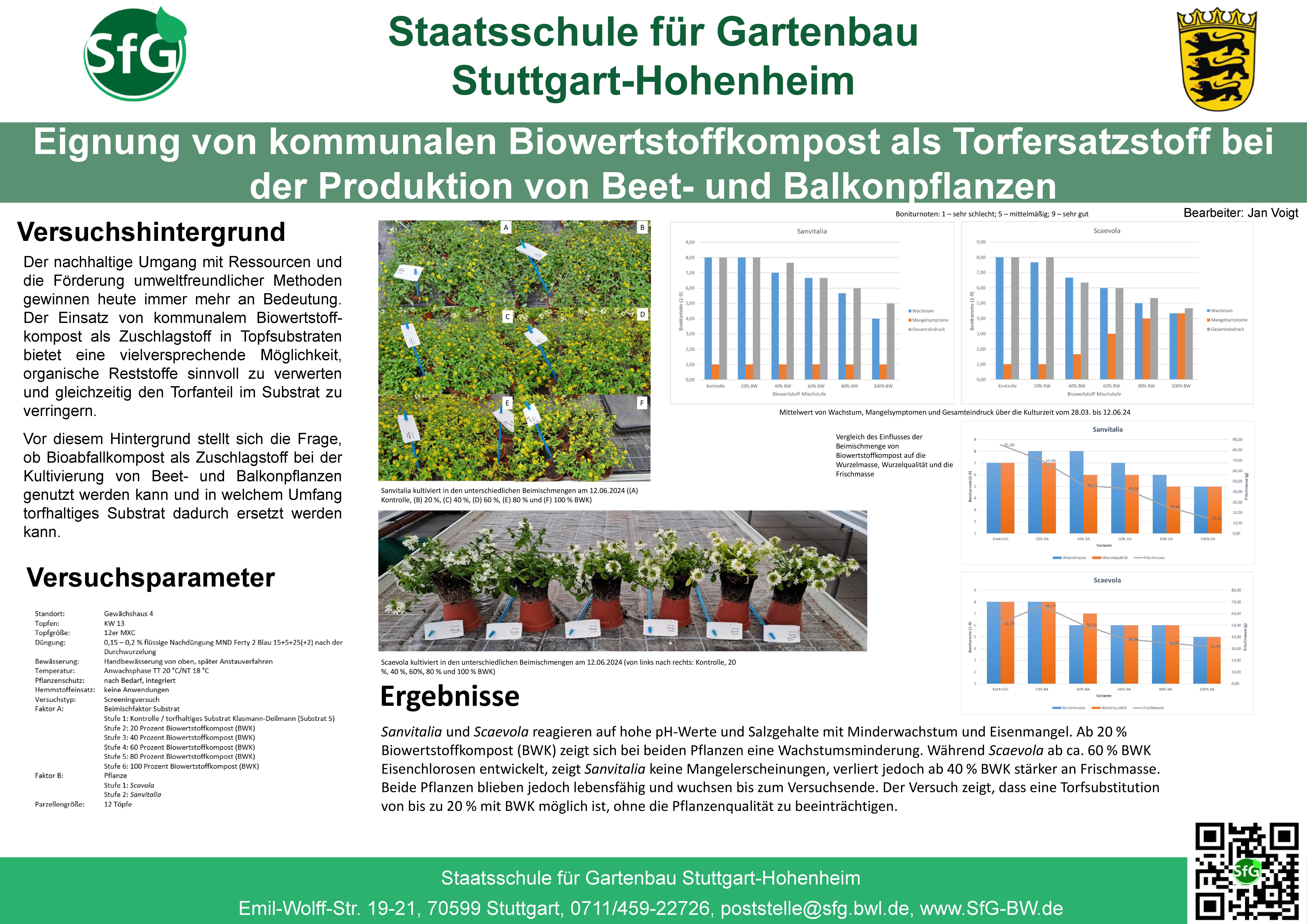 Beet und Balkon.jpg