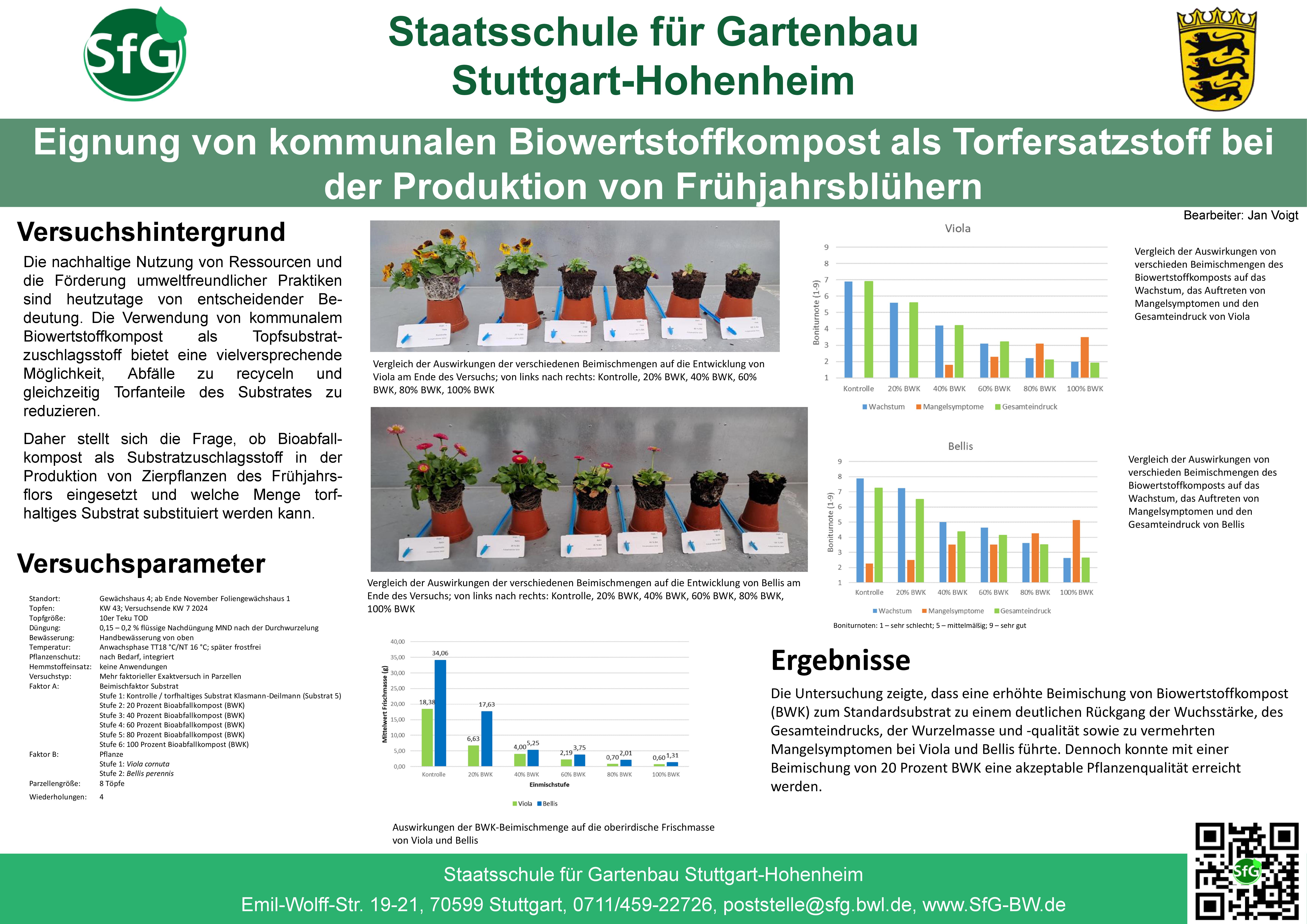 Frühjahrsblüher.jpg