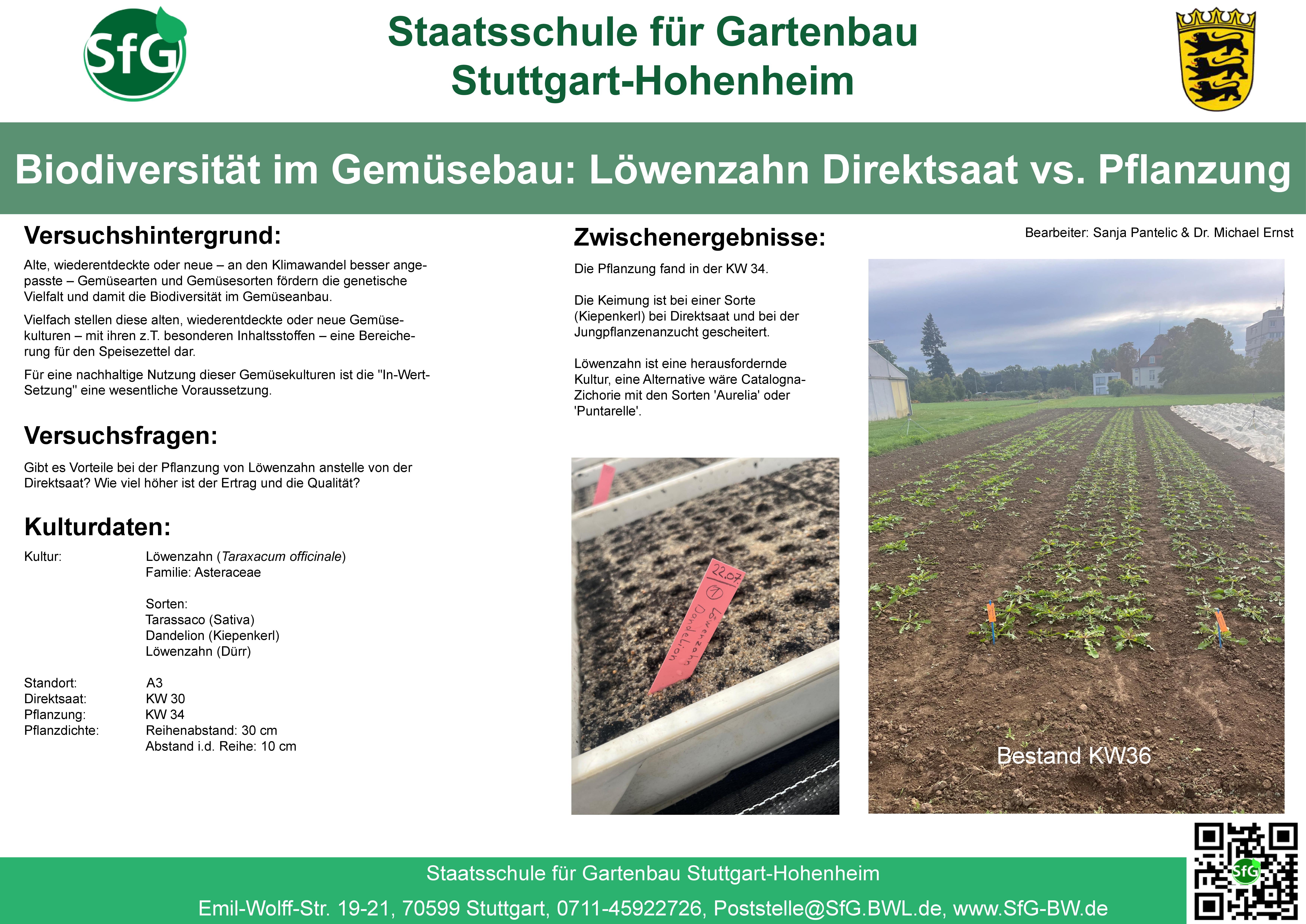 Biodiversität - Löwenzahn.jpg