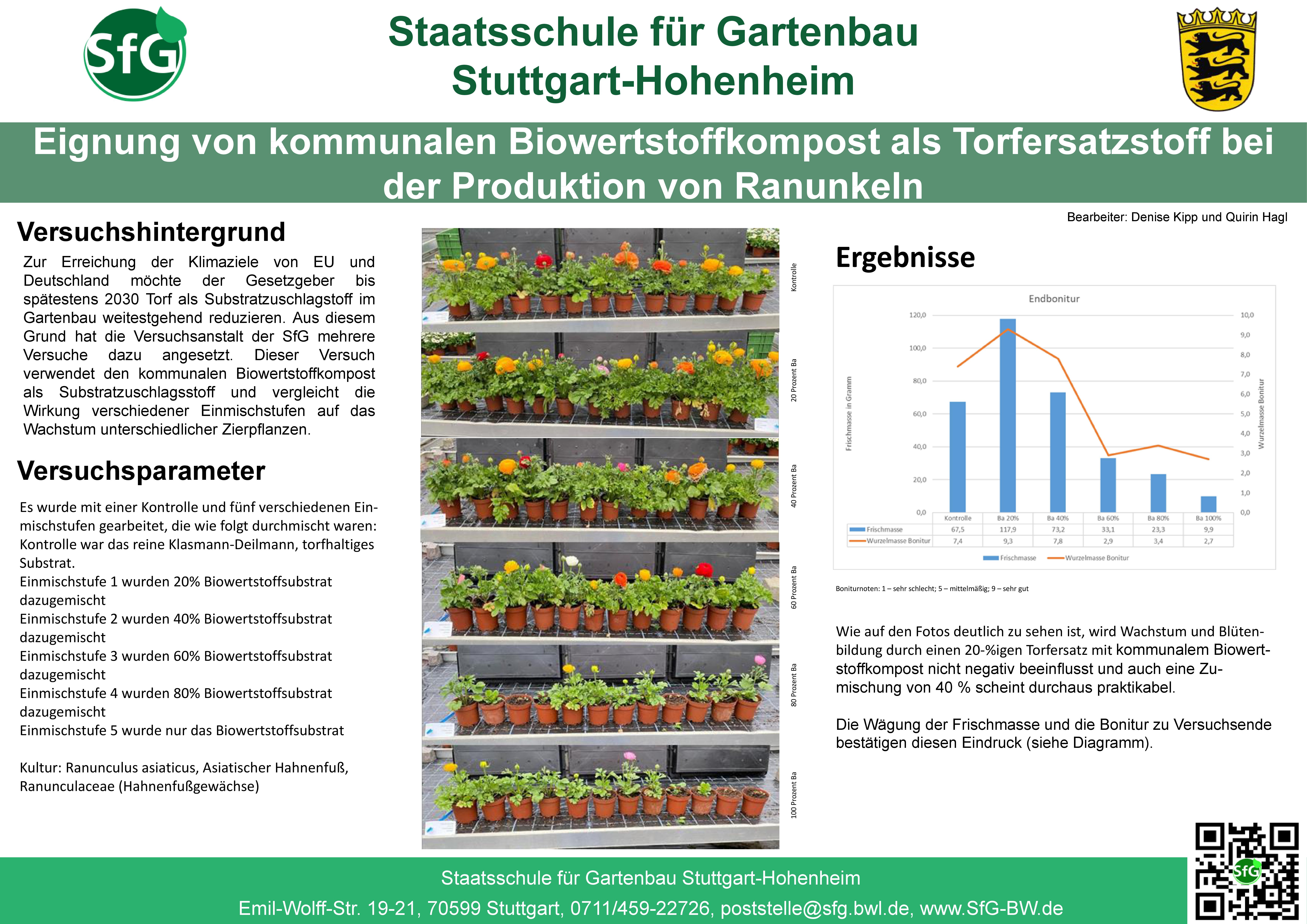 Poster Kipp_Hagl.jpg