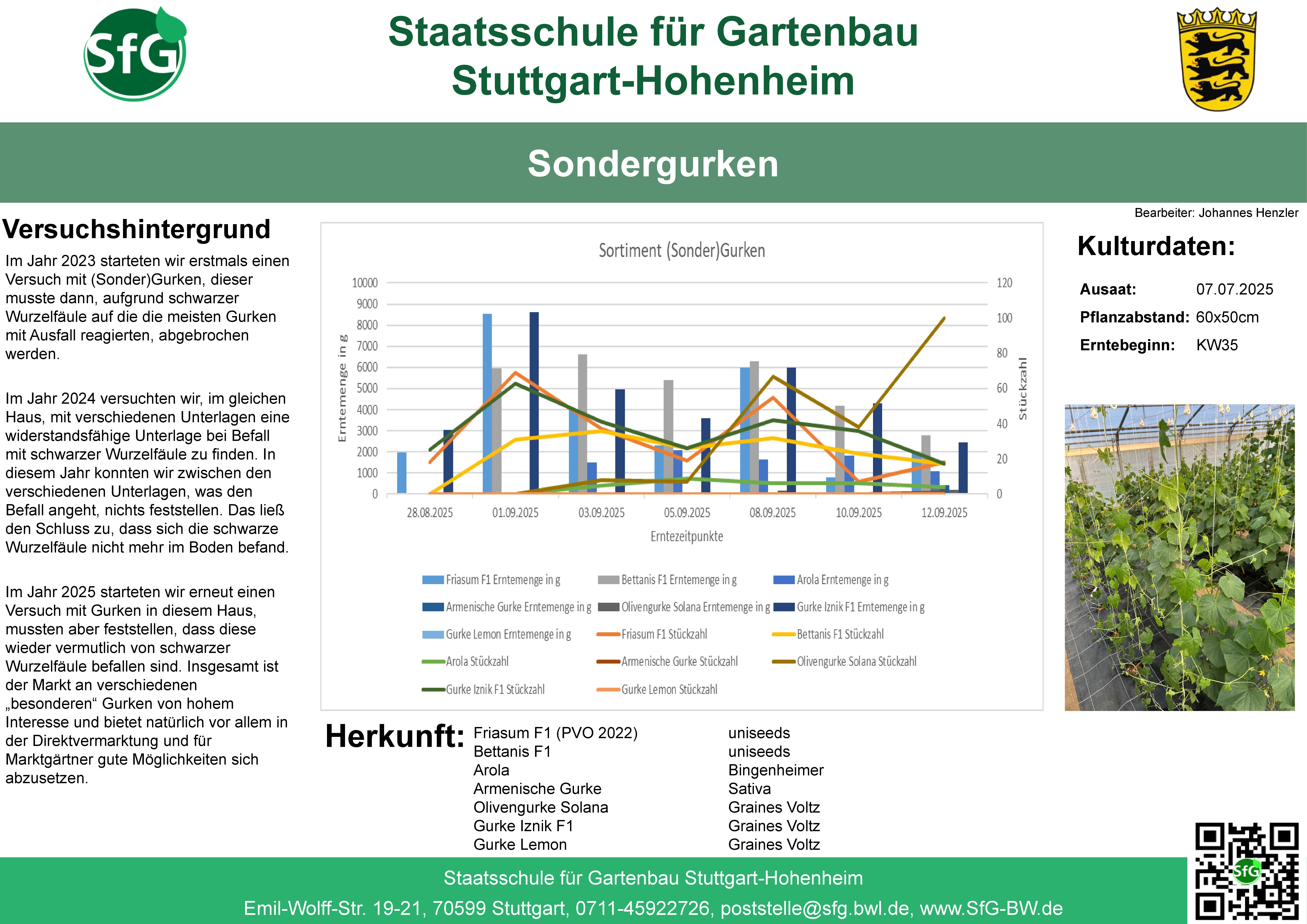 Poster Gurken .jpg